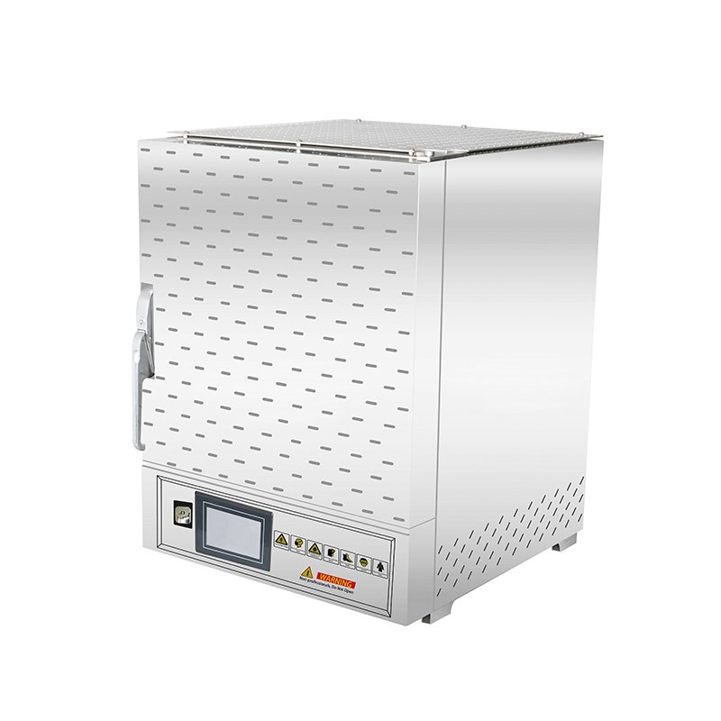 Programmable Burnout Oven